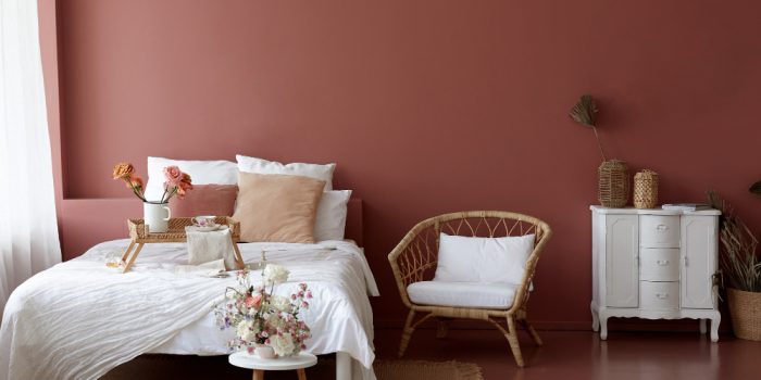 idées et astuces d'une Décoration chambre terracotta pour un intérieur chaleureux